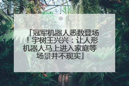 冠军机器人悉数登场！宇树王兴兴：让人形机器人马上进入家庭等场景并不现实